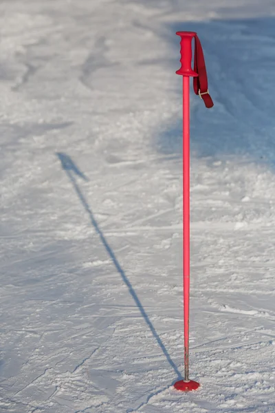 stock image Ski pole