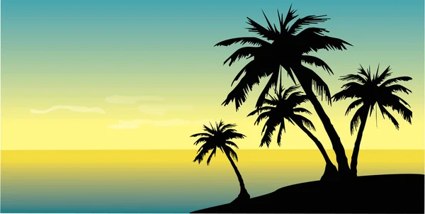 Dalen op eiland met palmbomen — Stok Vektör