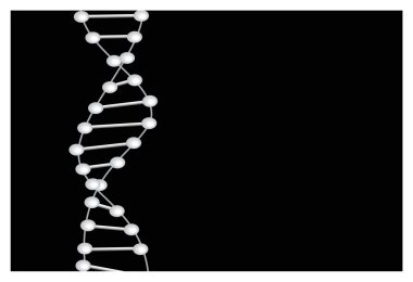 DNA yapısı