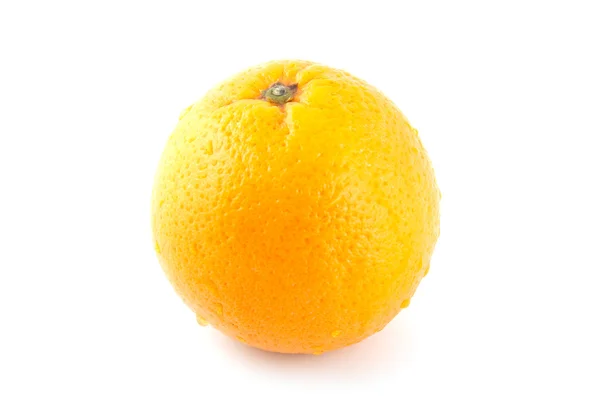 橙子 免版税图库照片