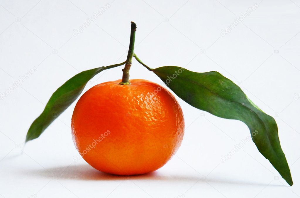 Mandarin with branch
