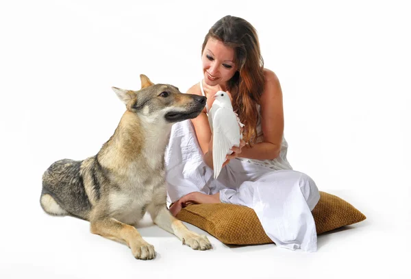 Woman, wolf and dove — Stock Photo, Image