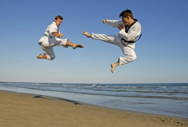 Taekwondo on the beach clipart