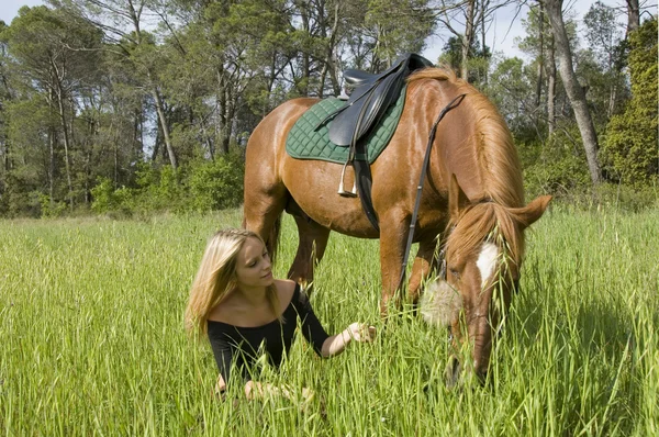 ブロンドの女の子と彼女の種牡馬 — ストック写真
