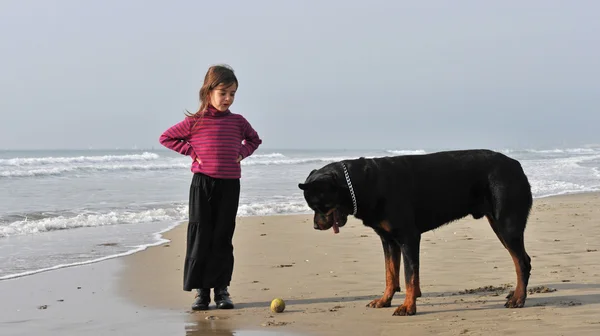 Çocuk ve köpek sahilde — Stok fotoğraf