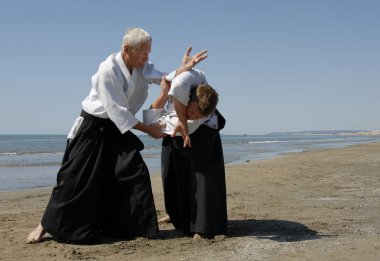 Aikido on the beach clipart