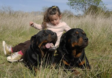 Tehlikeli Köpekler ve çocuk