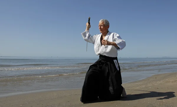 Utbildning av aikido — Stockfoto
