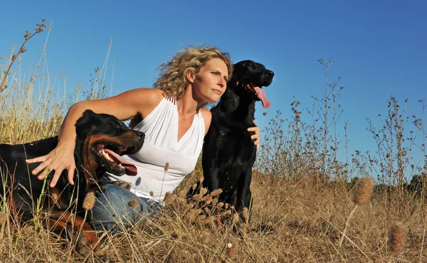 Frau und Hunde — Stockfoto