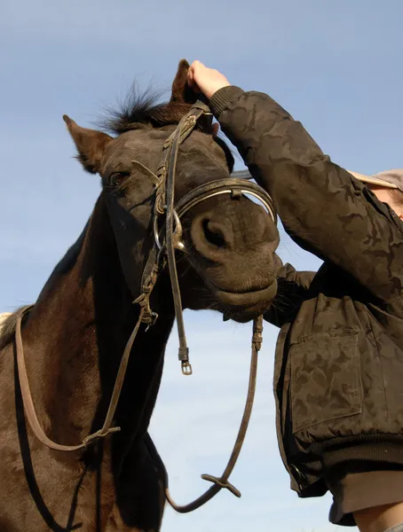 Tiener, hoofdstel en haar paard — Stockfoto