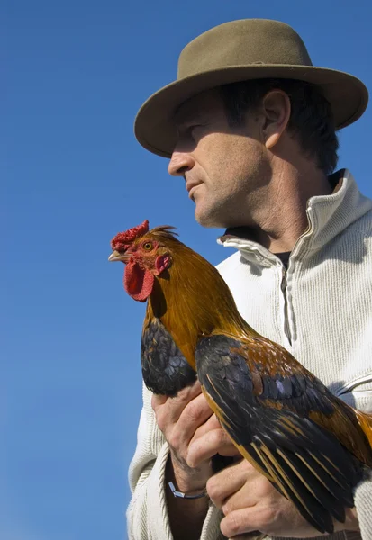 stock image Man and rooster