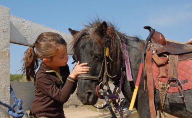 Little girl and shetmand clipart