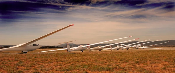 Gliders in evening — Stock Photo, Image