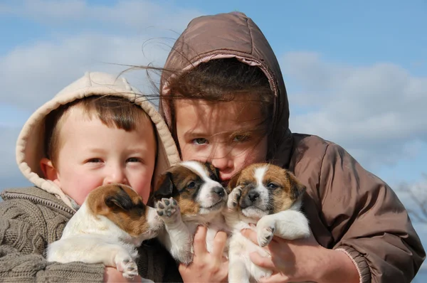 Niños y cachorros — Foto de Stock