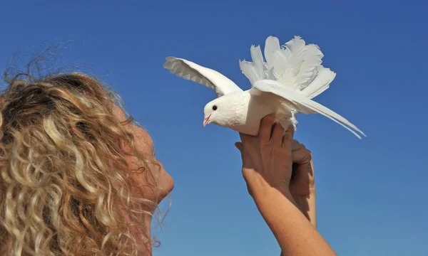 비둘기와 금발 소녀 — 스톡 사진