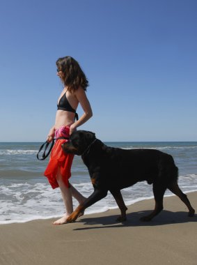 Woman and rottweiler on the beach clipart