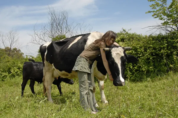 Підлітка і корови — стокове фото