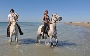 Horseback riding on the beach clipart