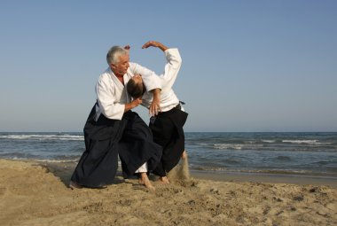 Training of Aikido on the beach clipart