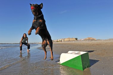 Sahilde flyball