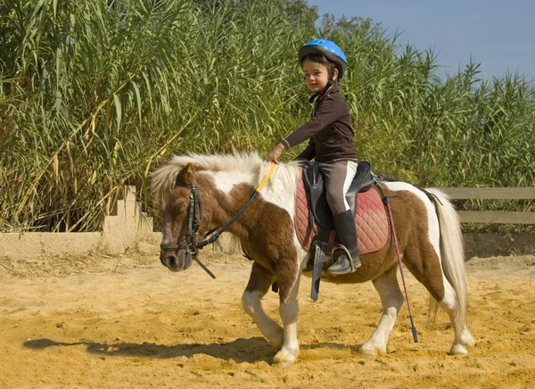 Criança de equitação — Fotografia de Stock