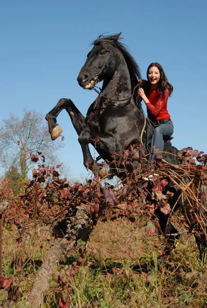 Rearing stallion and happy girl — Stock Photo, Image