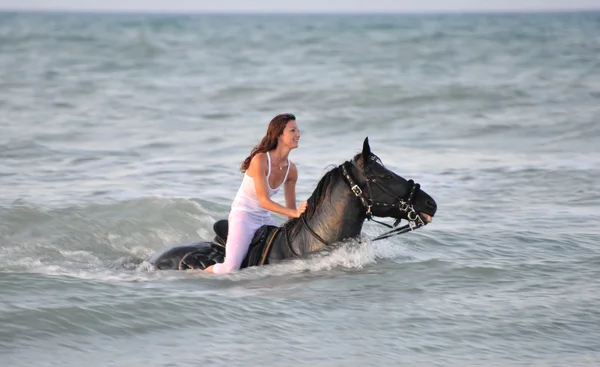 Simning häst — Stockfoto