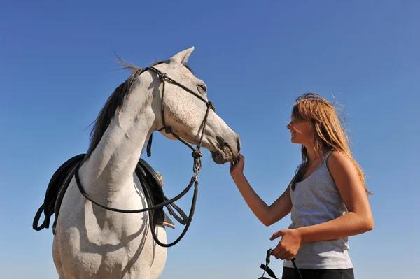 Подросток и арабская лошадь — стоковое фото