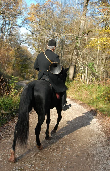 stock image Fox hunting