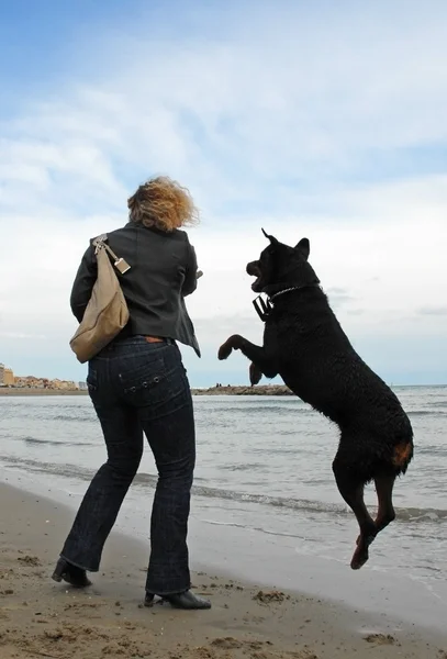 Mulher e brincando de cachorro — Fotografia de Stock