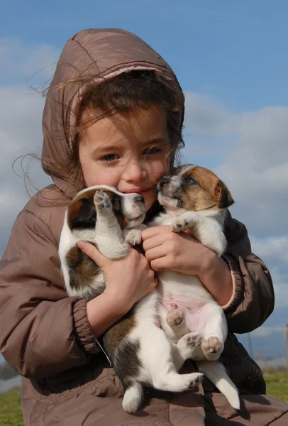 Sad little girl and puppies — Stock Photo, Image