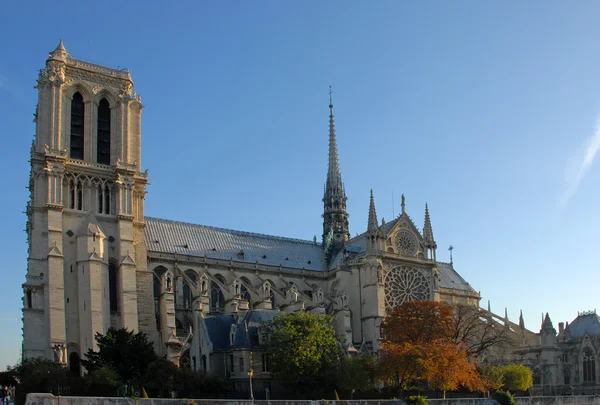 stock image Notre Dame de Paris