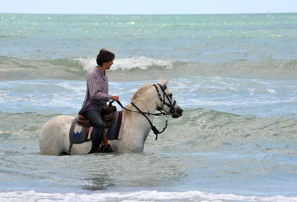 Человек и лошадь в море — стоковое фото