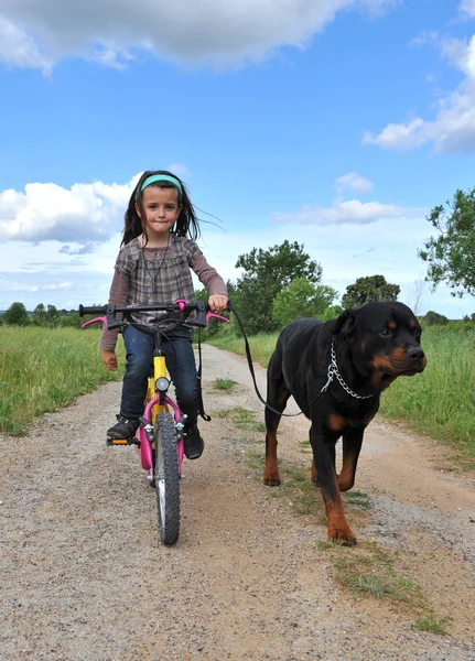 stock image Little girl and her dog