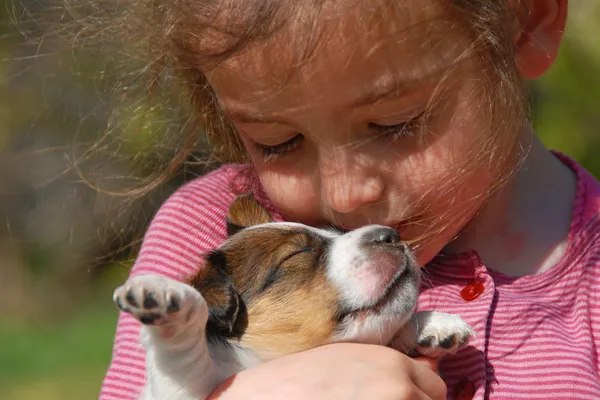 Маленька дівчинка і щеня Стокове Фото