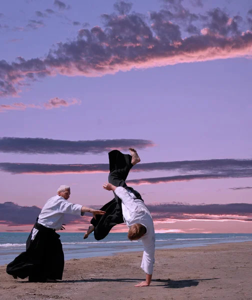 Aikido — Stok fotoğraf