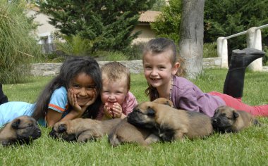 çocuk ve köpek yavruları