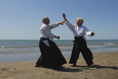 Aikido sur la plage