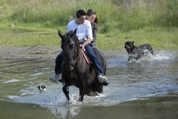 Casal de equitação em um rio com cães — Fotografia de Stock