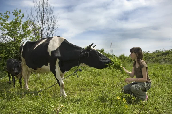 Girl and the cow — Stock Photo, Image