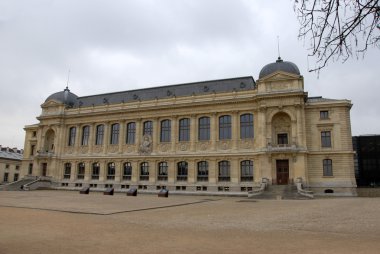 Museum d'histoire naturelle