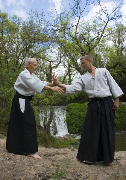 Treinamento de Aikido — Fotografia de Stock