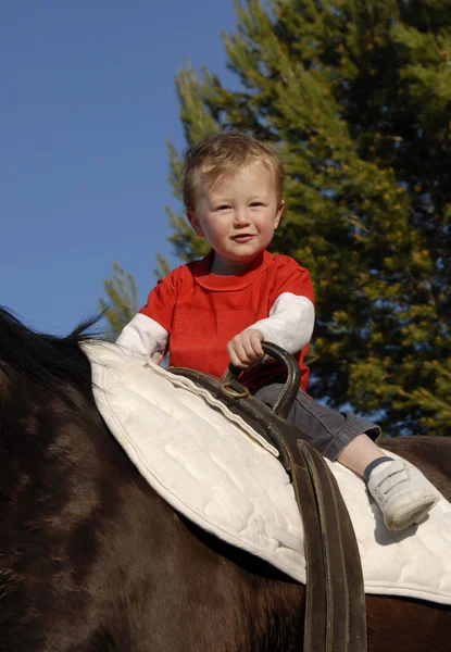 ขี่ม้า เด็กน้อย — ภาพถ่ายสต็อก