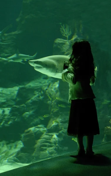 Little girl and shark — Stock Photo, Image