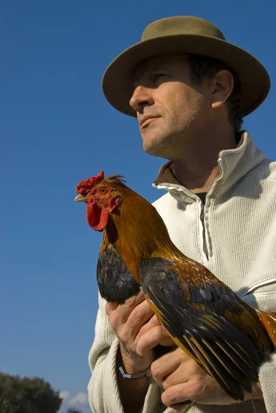 stock image Man and chicken