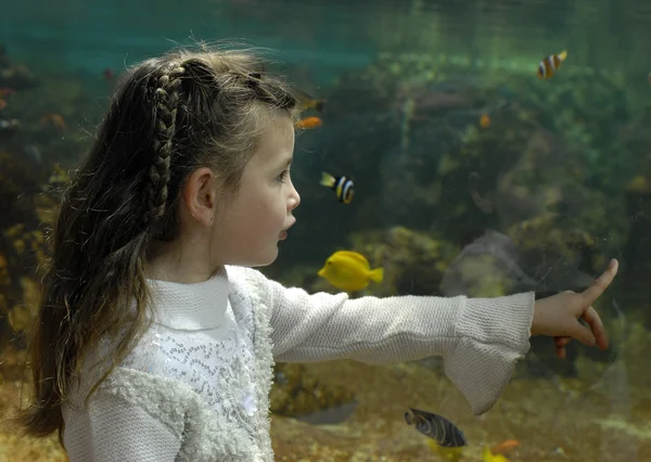 stock image Little girl and aquarium