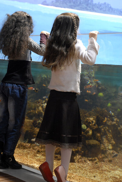 Two sisters and big aquarium
