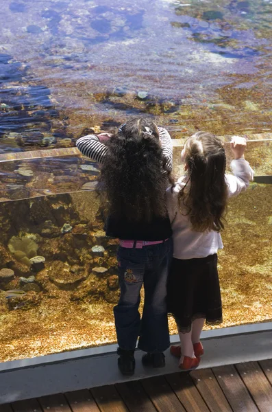 Zwei Schwestern und großes Aquarium — Stockfoto