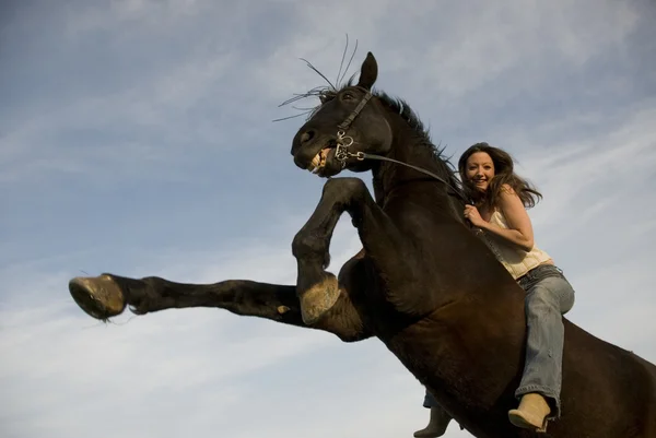 Happy girl and rearing stallion — Stock Photo, Image