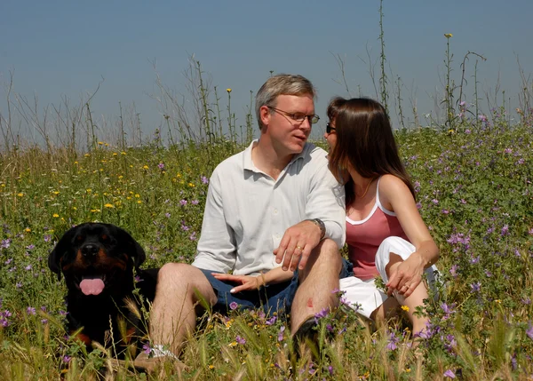 Lovers and dogs — Stock Photo, Image